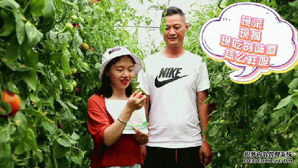 ýƶ׵ռǡ޵ƺ5졭