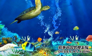 “海底总动员 变态神仙道SF”丨悦府邀您共赴 启程一场海洋征途